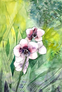 FLEURS FEUILLES AQUARELLE T