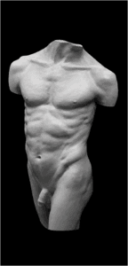 torse martial